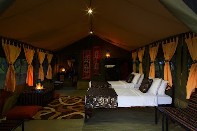 Photos of Mara Eden Safari Camp