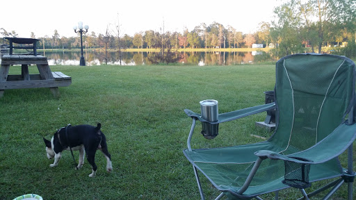 Thomson Lake Recreation Park - Thumbnail