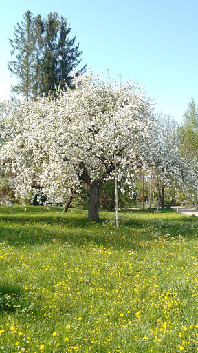 Gemeinde Weil - Visual