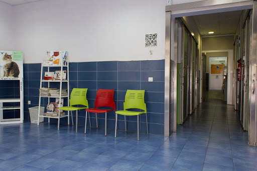 Clinica Veterinaria La Cuesta - Thumbnail