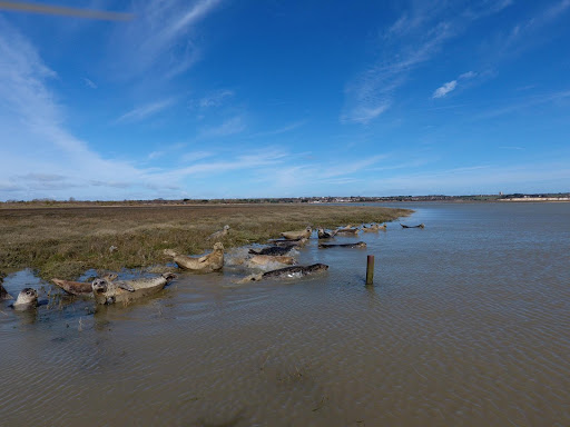 River Runner Ramsgate - Visual