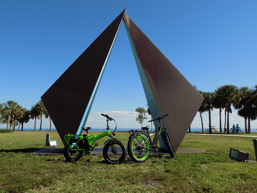 Electricycle LLC - Visual