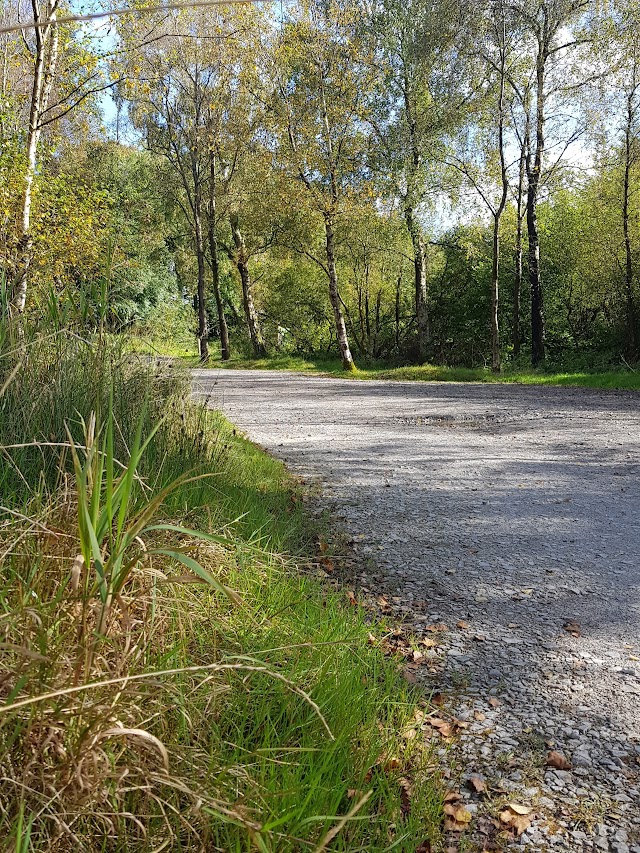 Cocklet Hill Car Park - Gisburn Forest