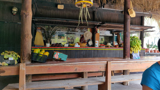 Cactus park bar