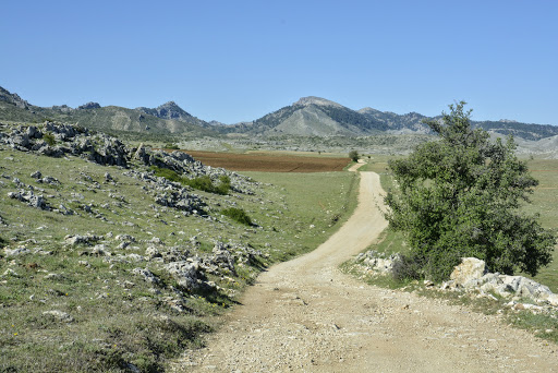 Campos de Hernán Perea - Thumbnail