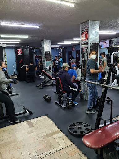 Fitness Center GYM La Pagoda - Thumbnail