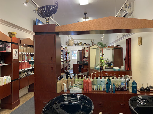 XL Salon - Thumbnail