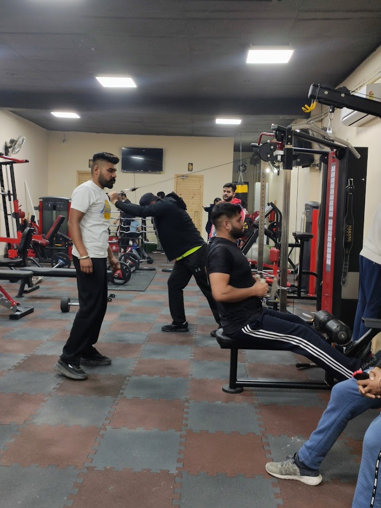 The Fitness Studio