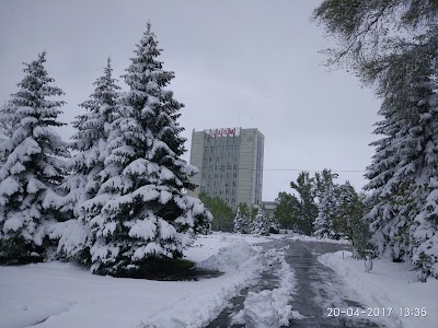university