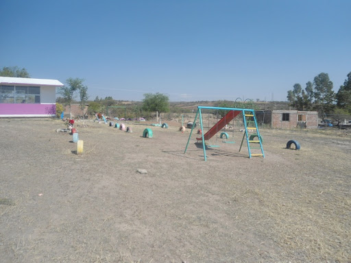 Jardín de Niños Mariano Azuela 11DJN3342C