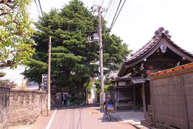 Yanaka