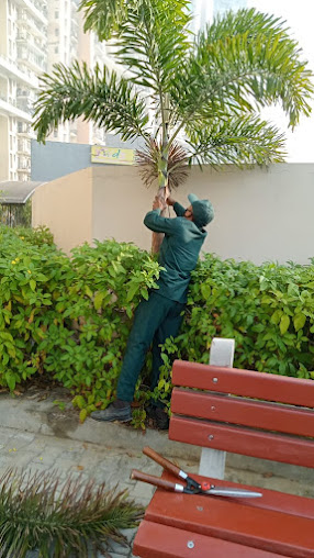 Af1qippwbp4rcu5dbwnl3yb Jcsulpbgkc3fd5rhq3fd=s508 K No