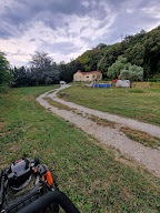 Élevage des anges d'Aria chihuahua à Savasse
