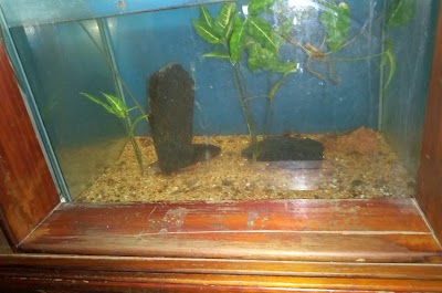 Photos of Kisumu Museum