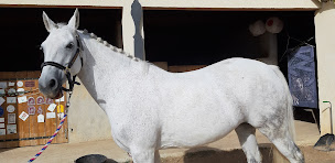 Photo n°8 de Centre Equestre Les Ecuries du Roc à Aubussargues (Centre équestre)