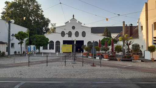 Kriegshaber - Visual