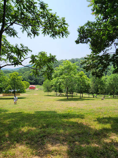 Piccolo farms animal sanctuary extension Gallery - United States