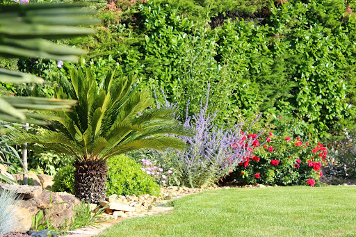 Photo de Élagage et entretien de jardin - Joffrey Martel à Rochegude (26790)