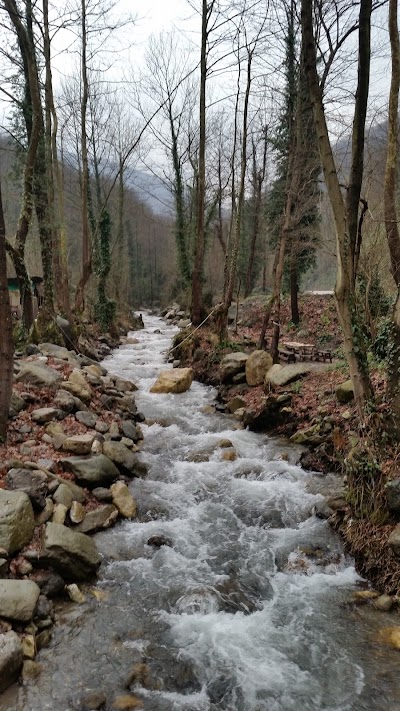 Photos of Kirkpinar hosts