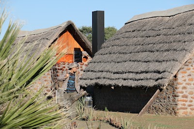 Photos of Mesosaurus Fossil Bush Camp