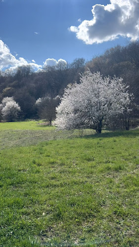 Comentarii opinii despre Природен парк „Шуменско плато“