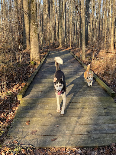 Lampson Reservoir Park - Thumbnail