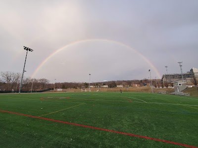 Renwyck Field