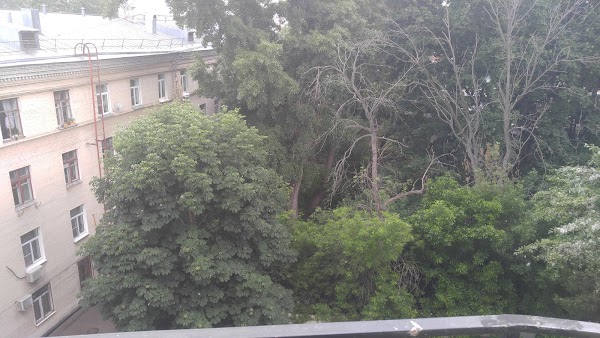 Отзывы о "КредитаНет" на Охотном Ряде, Москва, Дмитровский переулок, 9 - Яндекс 
