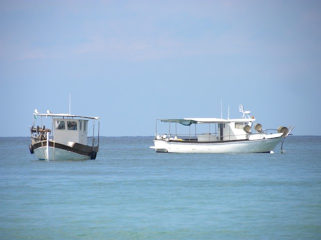 Siviri