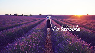 Photo n°18 de Château du Grand Jardin à Valensole (Site historique)