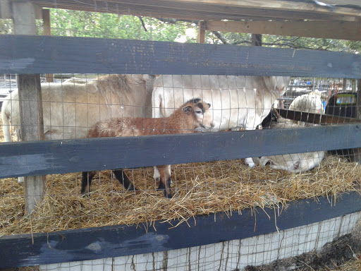 Elephant Walk Farms - Thumbnail