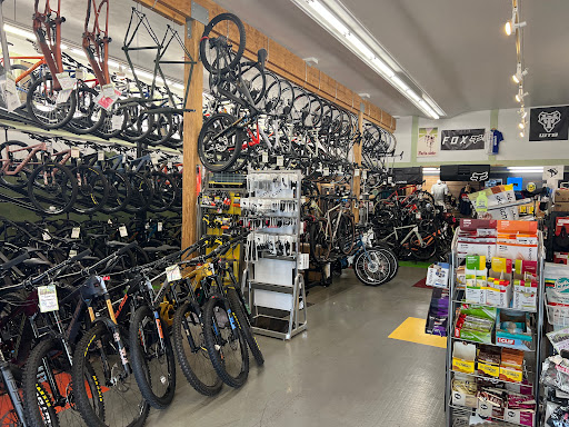 Tam Bikes - Thumbnail