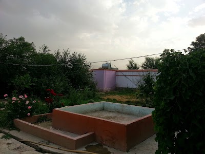 Photos of Griffin Ltd