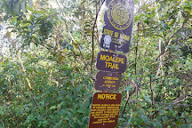 Moalepe Trail, Kapaa, United States