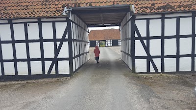 Photos of Sandholt Slot