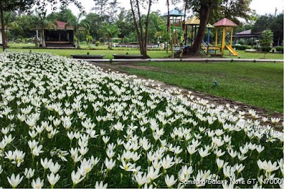 Photos of Royal Lake Amusement Park