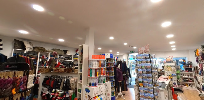 Cruellas Natural Fibre Boutique Open Times