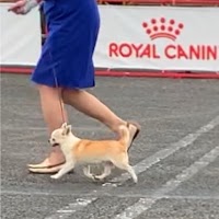 メッタステンダーズ METTASUTENDAS