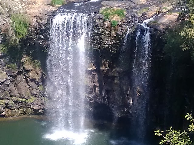 Parc national Dorrigo