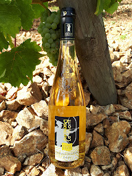 Photo n°6 de Robin Louis Et Claude à Bellevigne-en-Layon (Magasin de vins et spiritueux)