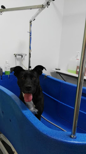 OPICAN - Visual
