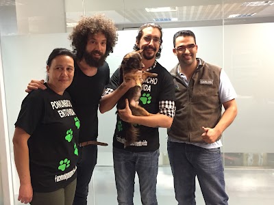 Photos of CLINICA VETERINARIA EXTREME&Ntilde;A - CLINIVEX