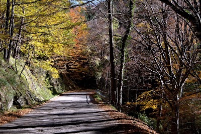 Centro Visite Parco riserva naturale