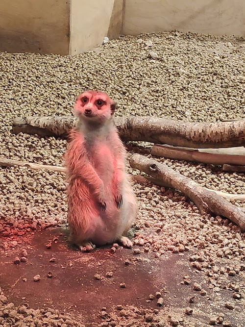 Zooloģiskais dārzs