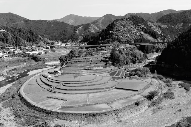 Aragi-jima Island Rice Terraces