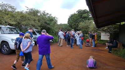 Photos of Elephant and Rhino Nursery