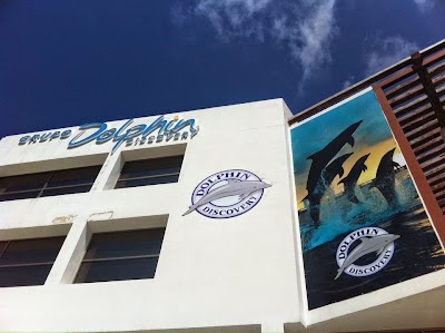 Photos of Dolphin Center and Dtraveller
