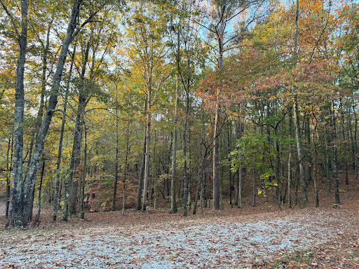 Hidden Branch Campground