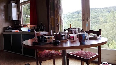 Photos of Bungalowpark Hondsbierg