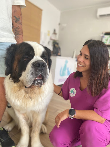 Centro Veterinario MIAUCAN